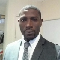Stephane Ouraga, Consultant